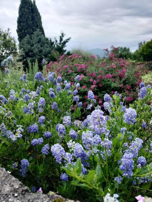 Logement Entier Dans Un Ecrin De Verdure Bidos エクステリア 写真