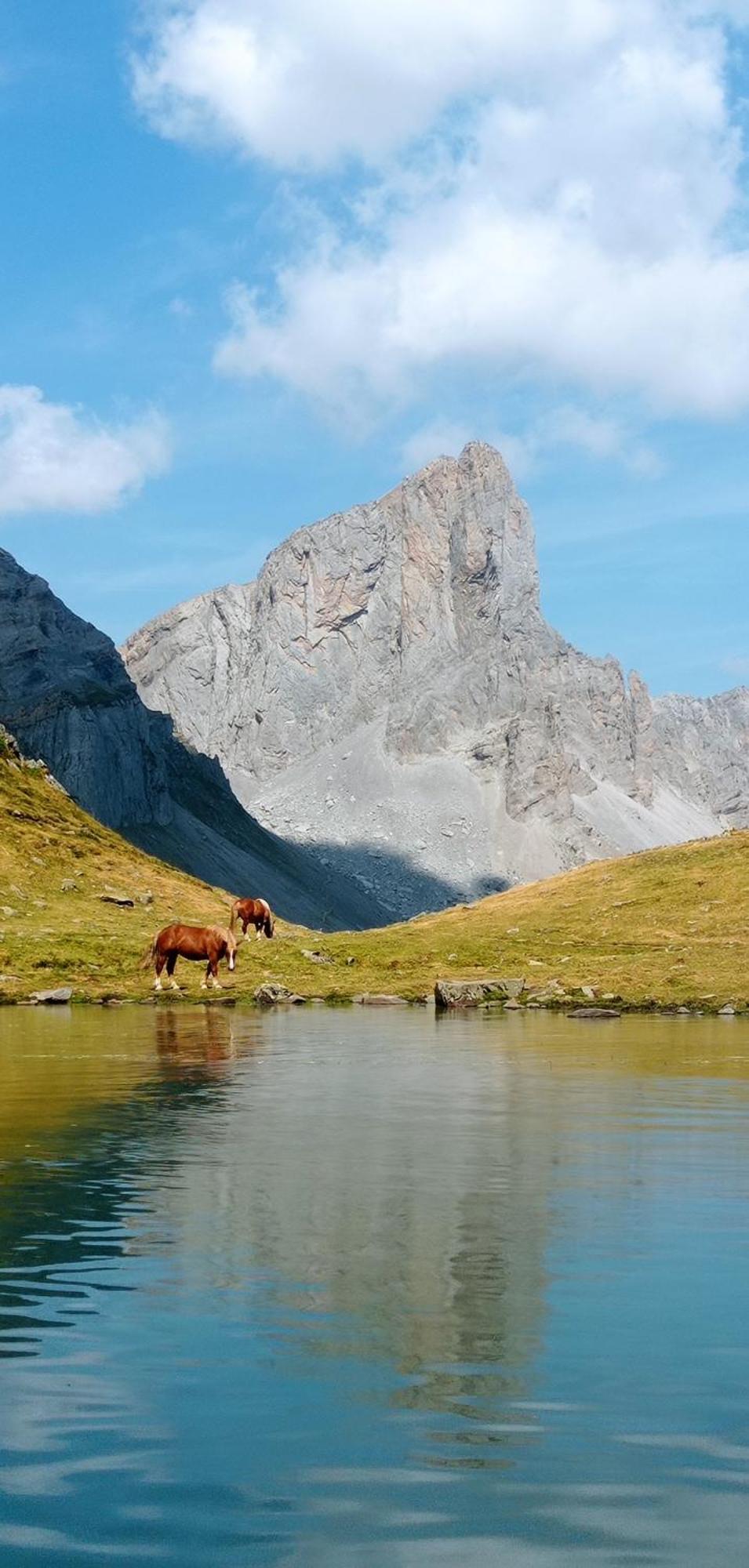 Logement Entier Dans Un Ecrin De Verdure Bidos エクステリア 写真